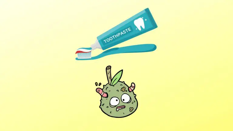 Can Tooth Paste Get Moldy or Infected?