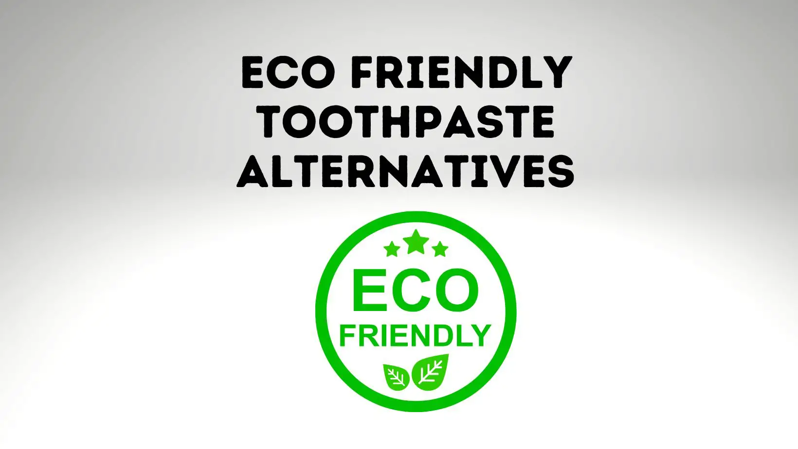 Eco-Friendly Alternative To Toothpaste