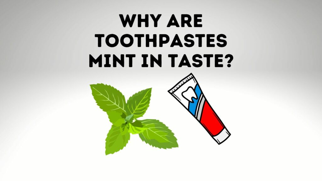 Why Are Toothpastes Mint In Taste? Power Tooth Paste