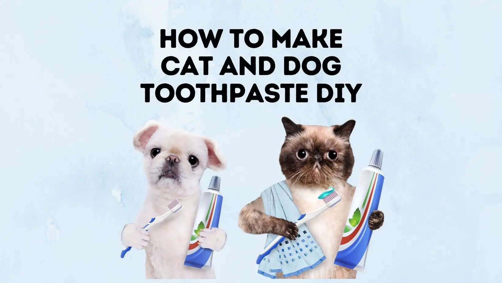 How To Make Cat and Dog Toothpaste