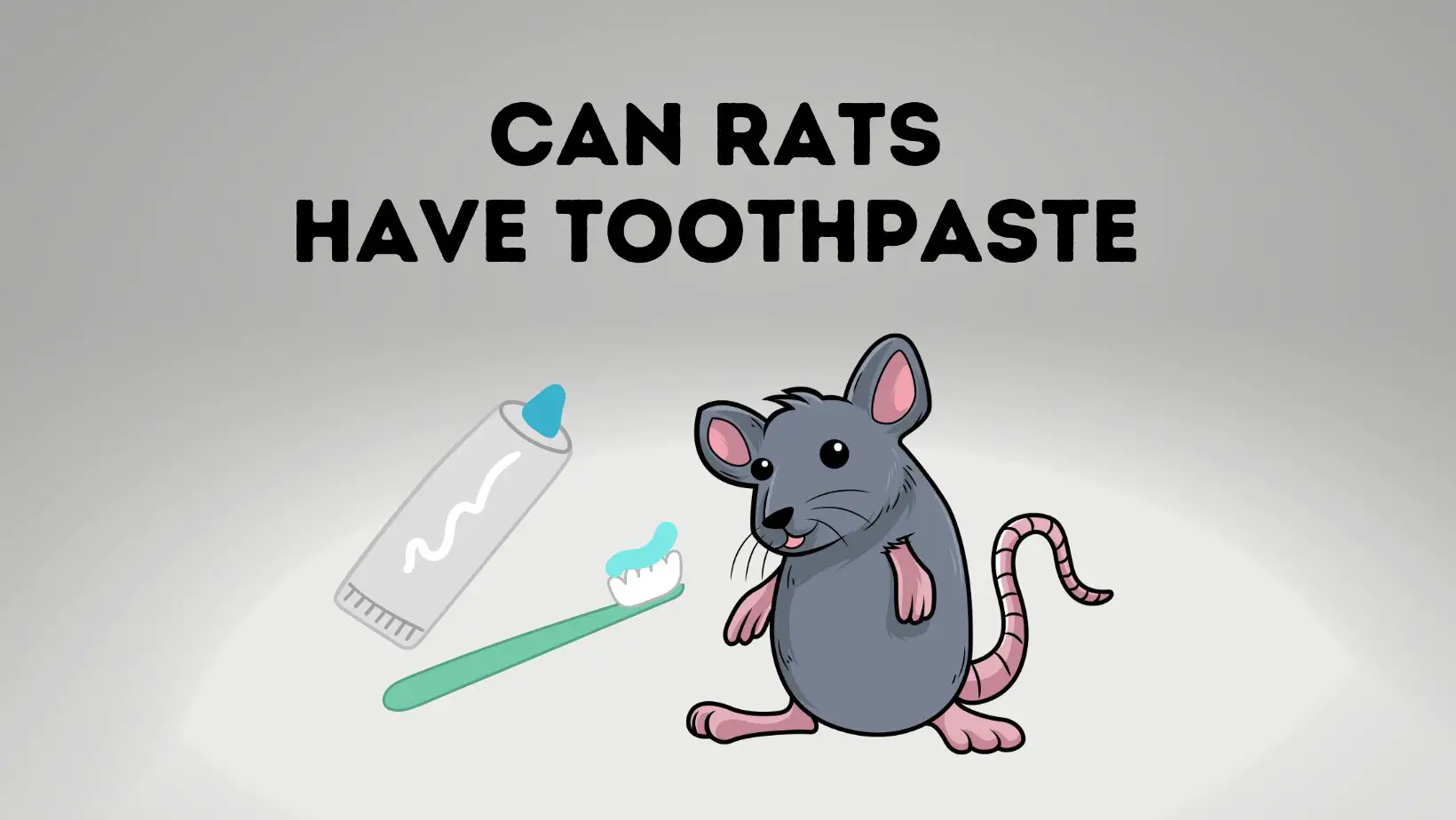 Can Rats Have Toothpaste Pros and Cons